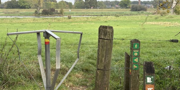 Uiterwaarden langs de Maas.jpeg