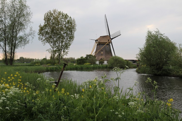 Oostzijdse molen Delphine