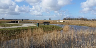 Boonervliet