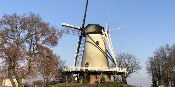 Molen de windhond.jpeg