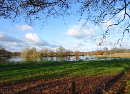 Zijarm van de Vecht bij hoog water