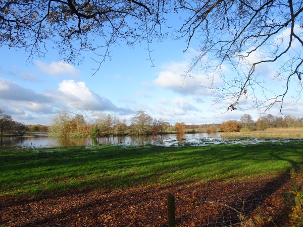Zijarm van de Vecht