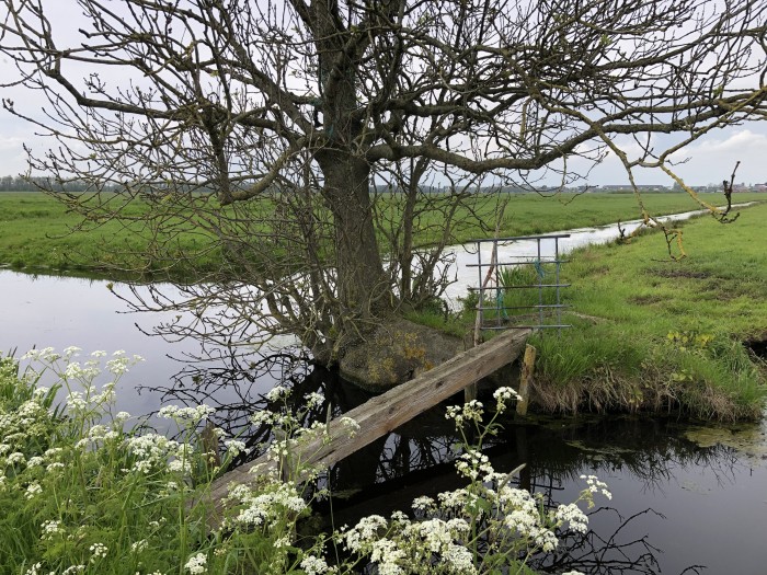 polder krimpenerwaard