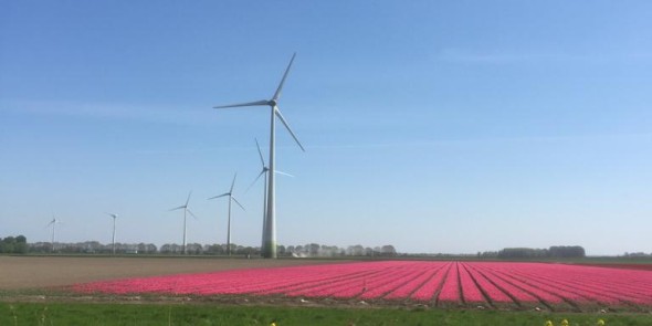 windmolen in gareel.JPG