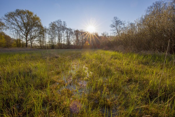 t Hemrik Het Groninger Landschap
