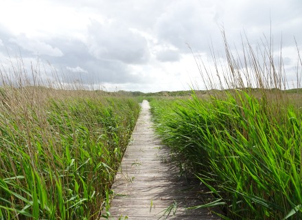 Vlonderpad op Ameland © Marleen Lekkerkerk