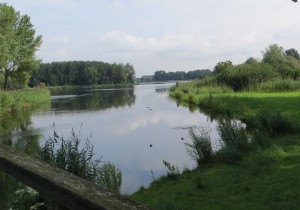 Oostvaardersplassen