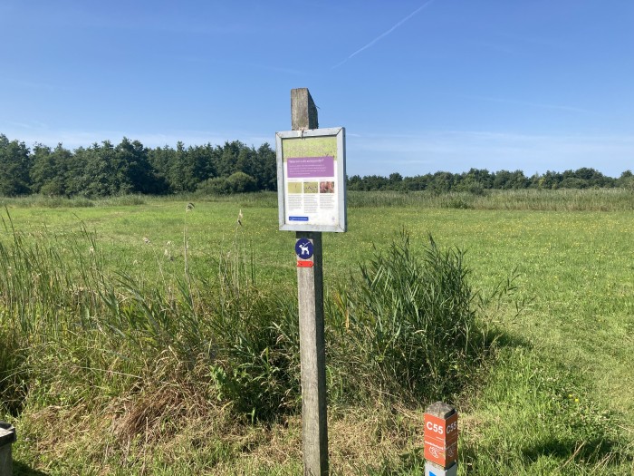 Kiersche Wijde blauwgraslanden