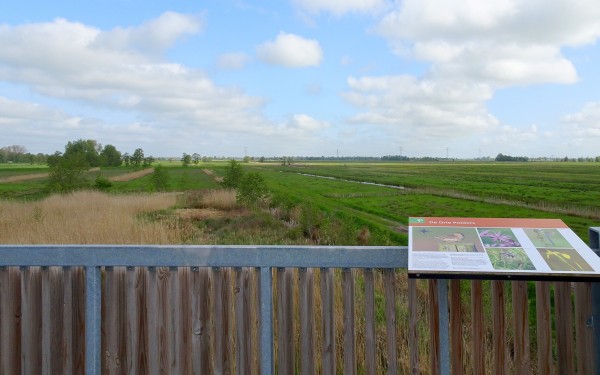 Vanaf uitkijktoren Drie Polders recht