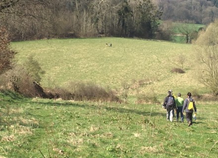 Wandelaars op het Krijtlandpad. Foto door Wandelnet.