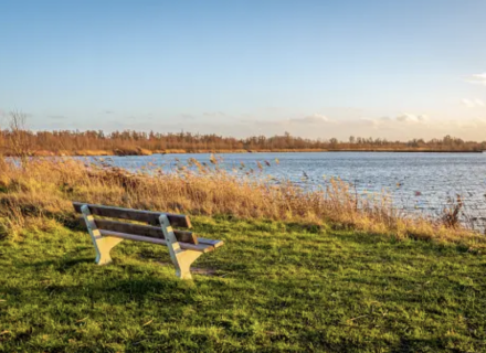 Uitzichtpunt over de Biesbosch