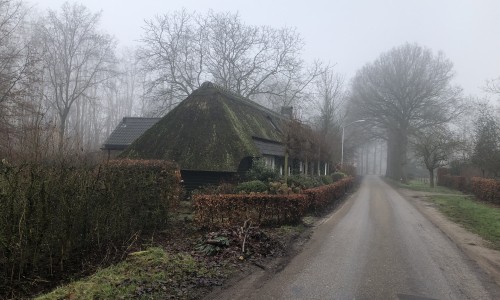 mist boerderij brabant.jpg