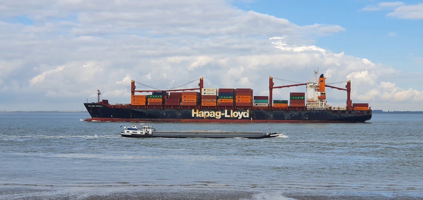 Zeereuzen op de Westerschelde.jpg