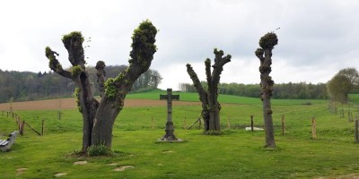 limburgs plateau.jpg