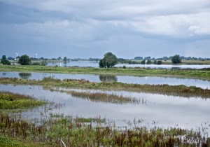 Grote_Rivierenpad_etappe_08.jpg