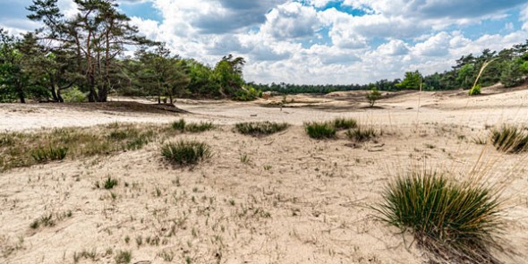 loonse_en_drunense_duinen_2.jpg