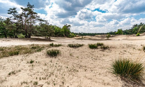 loonse_en_drunense_duinen_2.jpg