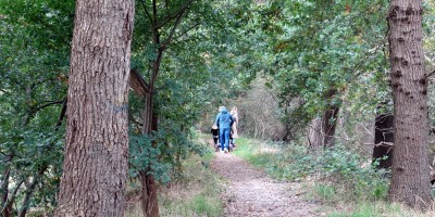 Wandelaars_op_de_Leidijk__Gijs_en_Margriet_Smeets.jfif