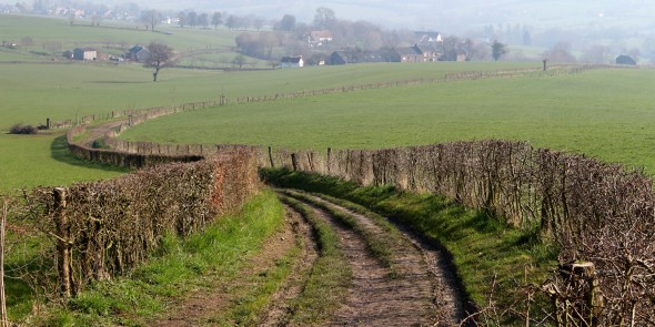 6 IMG_3242.JPG