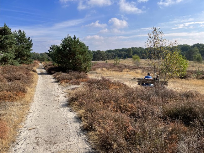 Heide en bos, voor het ecoduct over de A50 © Ernst Koningsveld