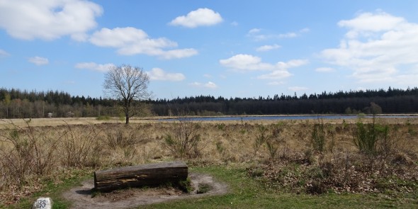 Zicht op Grolloërveen.JPG