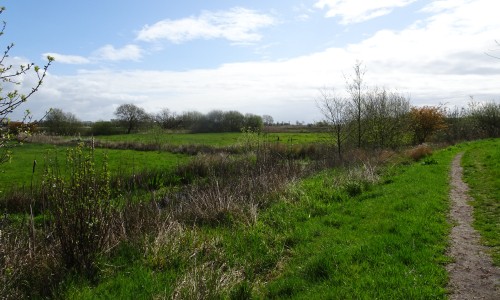 Oosterpolder Groningen.JPG