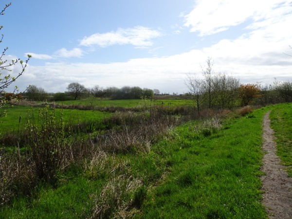 Oosterpolder Groningen