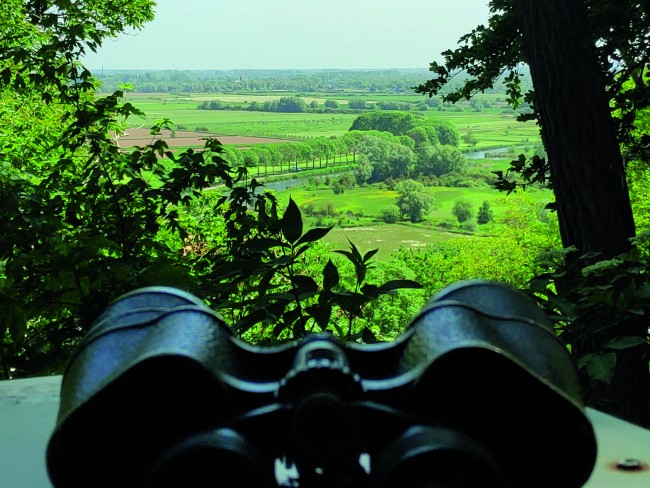 Panorama vanaf het Kops Plateau bij Nijmegen © Tom Buijtendorp