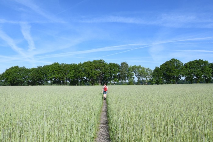 westerwoldepad onverhard wandelen
