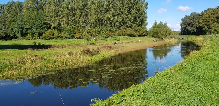 Trekvogelpad_etappe_20