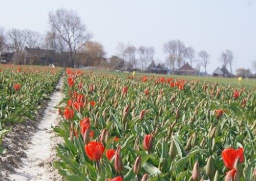 Nederlands_Kustpad-Harlingen_Oosterbierum_1