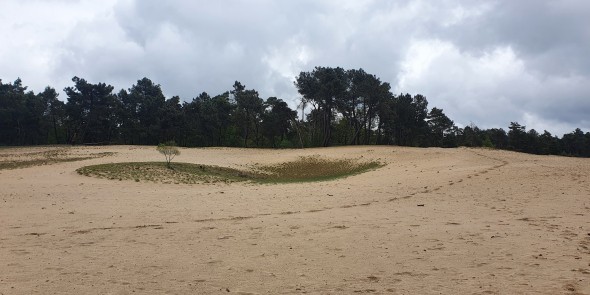 nationaal_park_loonse_en_drunense_duinen_1.jpg