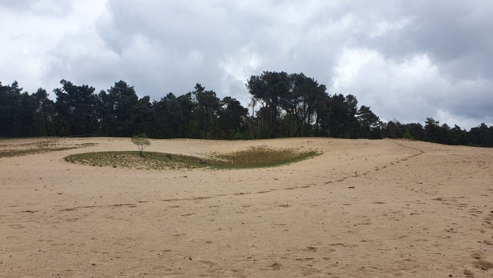 nationaal_park_loonse_en_drunense_duinen_1