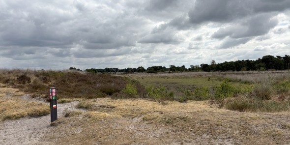 Nationaal Park De Peel 4-2 © Ernst Koningsveld.jpg