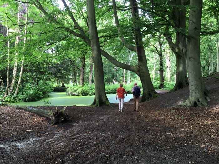 De Horsten, Wassenaar © Ernst Koningsveldt