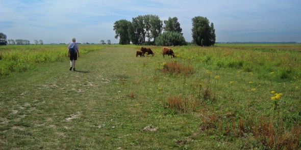 Onverhard wandelen © Ernst Koningsveld-2.jpg