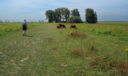 Onverhard wandelen © Ernst Koningsveld-2.jpg