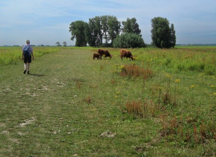 Onverhard wandelen in Noord Groningen