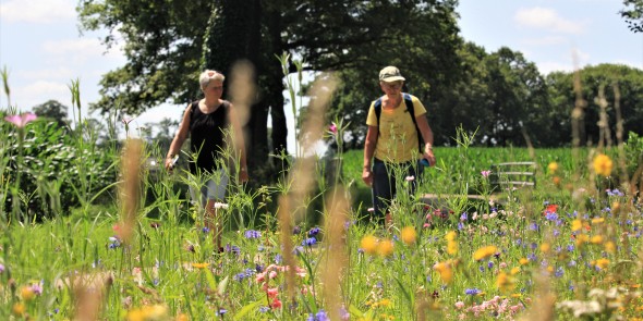 Wandelen door afwisselend coulisselandschap