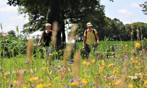 Wandelen door afwisselend coulisselandschap