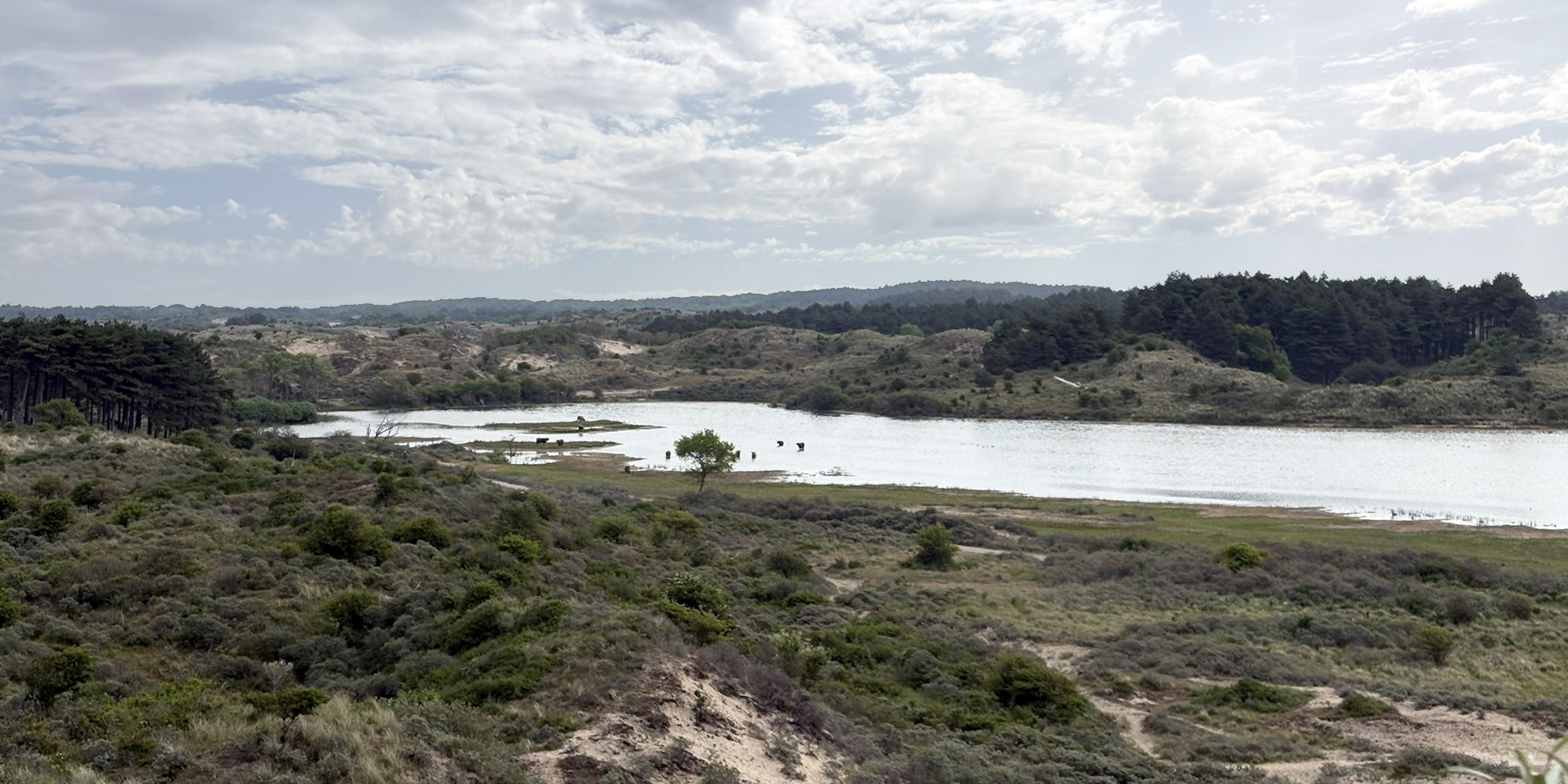 Nationaal Park Zuid-Kennemerland 2 © Ernst Koningsveld.jpg