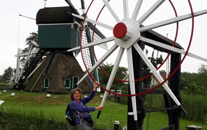 Sietske dekker