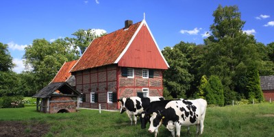 overhetscholtenpad.JPG