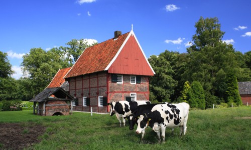 overhetscholtenpad.JPG