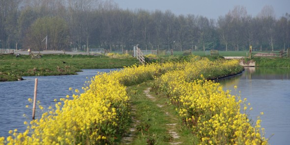 Steinse Tiendweg - © Rutger Burgers.jpg
