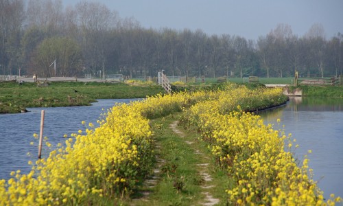 Steinse Tiendweg - © Rutger Burgers.jpg