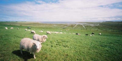 etappe 2 borkum.jpg