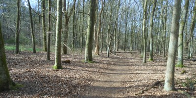 6-8 Huis ter Heide.JPG