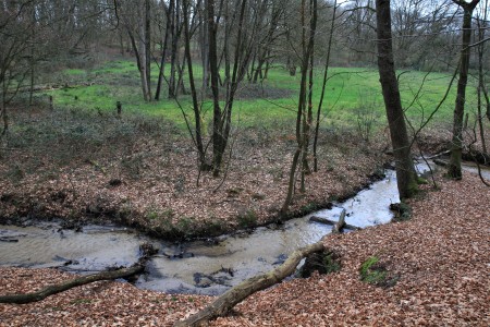Onverhard Twentepad 6