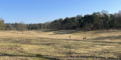 Wandelaars op de Heuvelrug Rhenen ©.JPEG